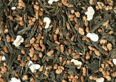 73 – fuji-yama – BIO