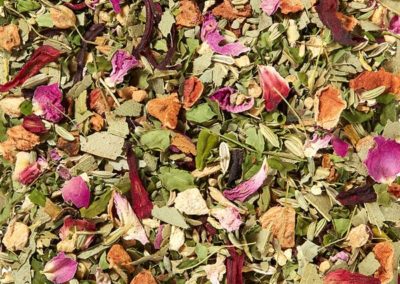29 – moringa  – BIO