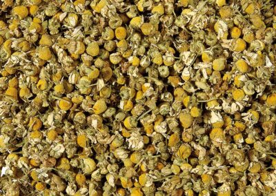 140 – Camomille – BIO