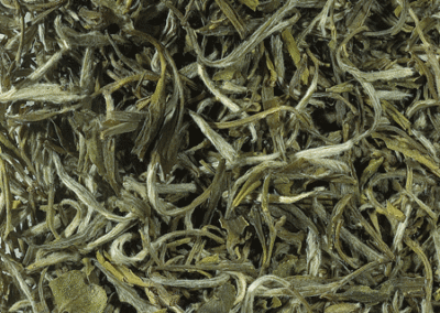 62 – chine blanc – BIO