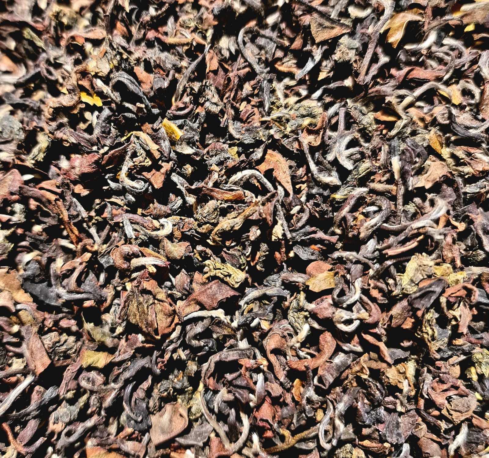 109 – oolong